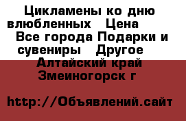 Цикламены ко дню влюбленных › Цена ­ 180 - Все города Подарки и сувениры » Другое   . Алтайский край,Змеиногорск г.